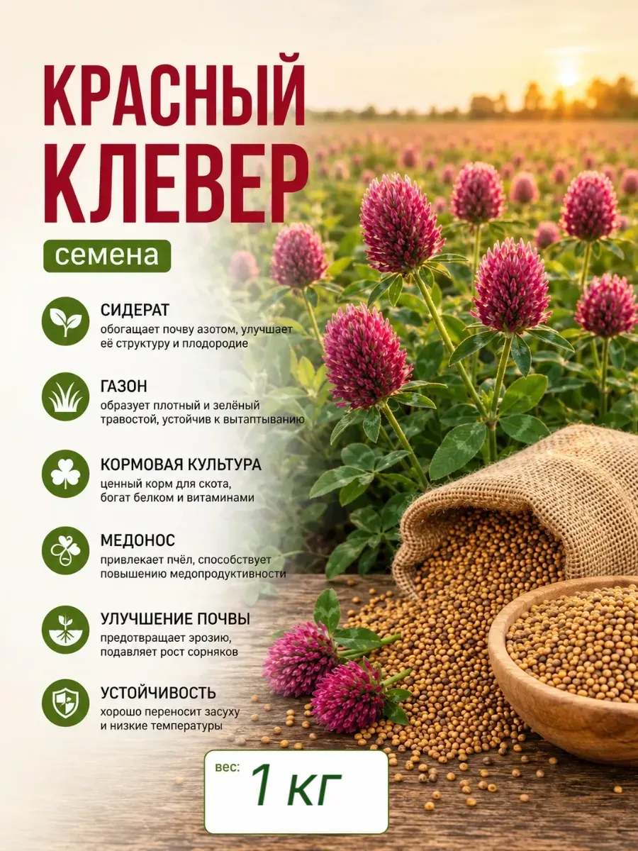 Красный клевер сидерат газон