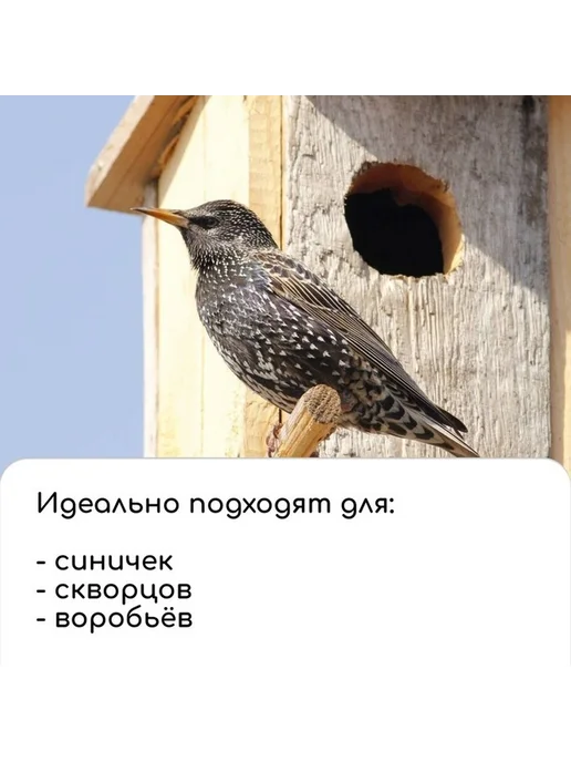 Эстетичный деревянный скворечник для сада, вариант, фото 8