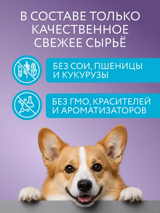 Сухой корм Marly&Molly Жкт Белая для собак, чувствительное пищеварение, рыба, 1,5 кг, фото 3