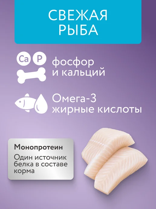 Сухой корм Marly&Molly Жкт Белая для собак, чувствительное пищеварение, рыба, 1,5 кг, фото 4