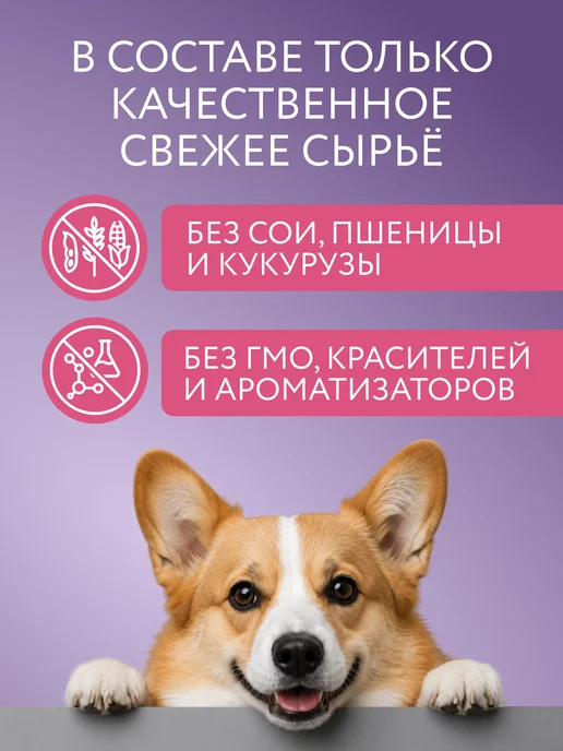 Сухой корм Marly&Molly Пищеварением для собак, чувствительное пищеварение, свинина, 0,7 кг, фото 3