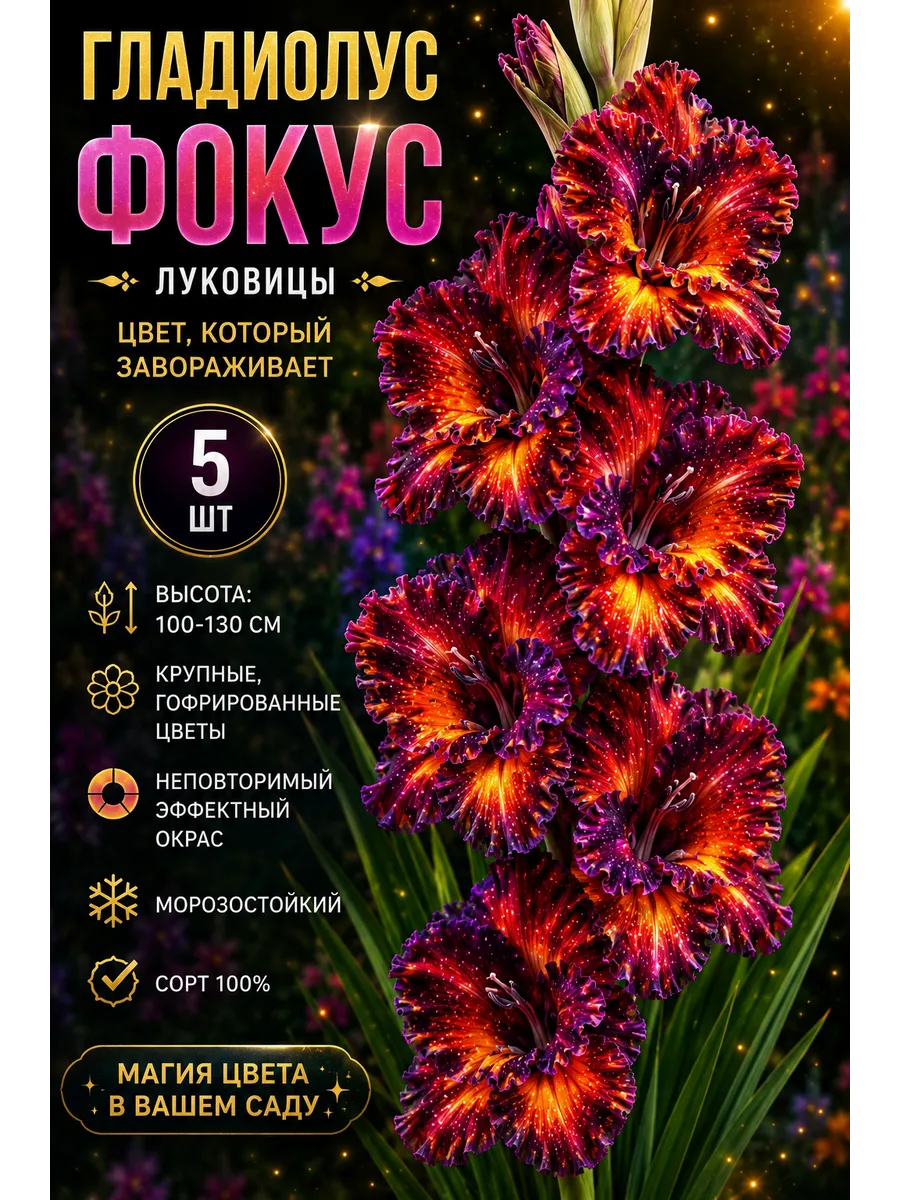 Гладиолус Фокус 5 шт
