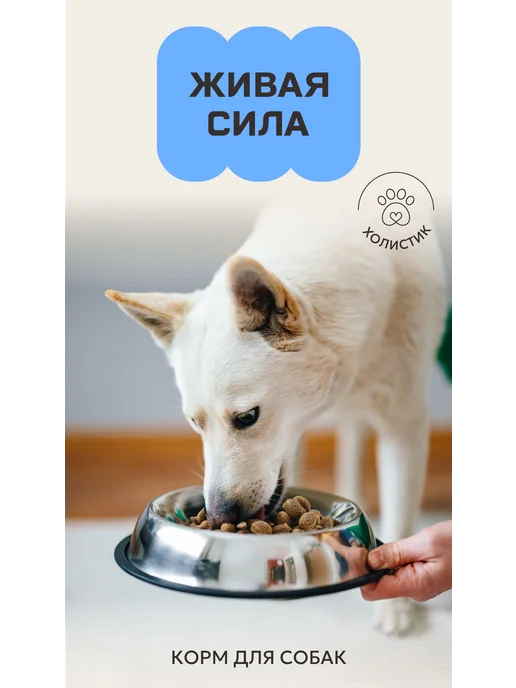 Сухой корм Живая сила Клюквой для собак, мелкие, ягненок, 2,5 кг, фото 8