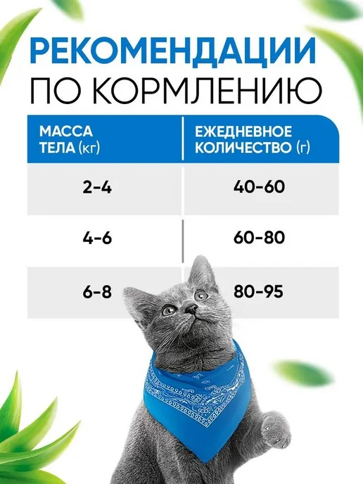 Сухой корм Delicana Кошек для собак, лосось, 1,5 кг, фото 5