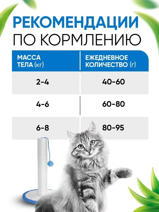 Сухой корм Delicana Кошек для собак, стерилизованные, лосось, 8 кг, фото 6