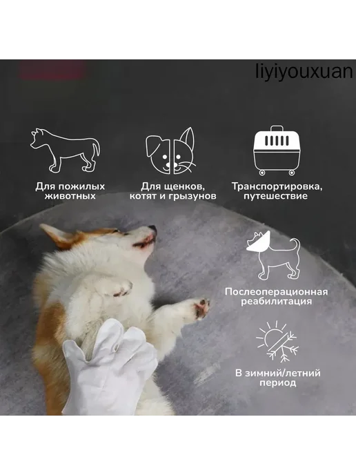 Влажные перчатки для собак и кошек, 8 шт, 8 шт, фото 7