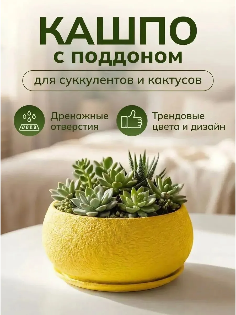 Кашпо для суккулентов