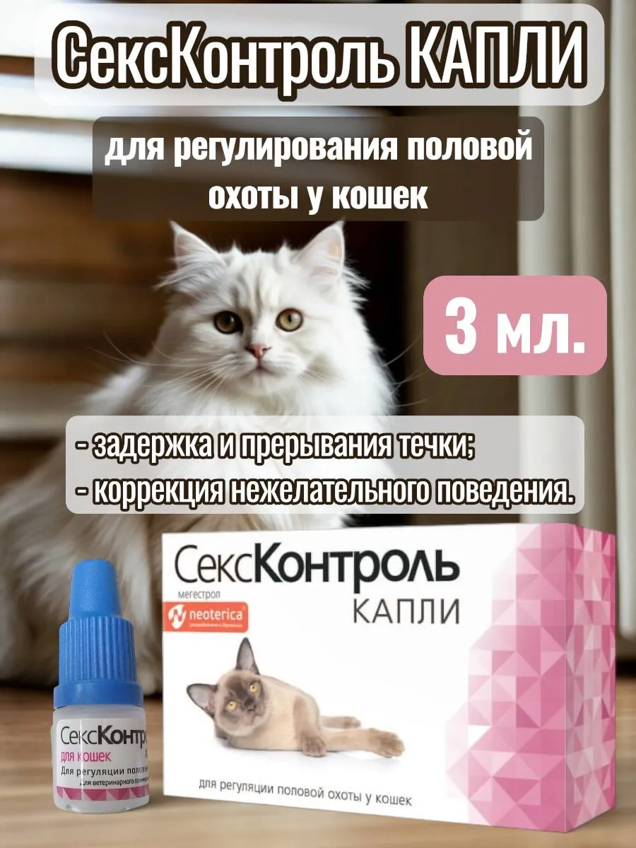 Секс Контроль Капли Для Котов Сколько Каплей Секс Контроль Капли Для Котов Сколько Каплей