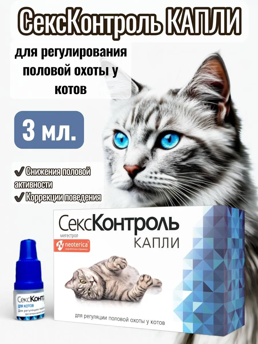 Секс Контроль Капли Для Котов Сколько Каплей Секс Контроль Капли Для Котов Сколько Каплей