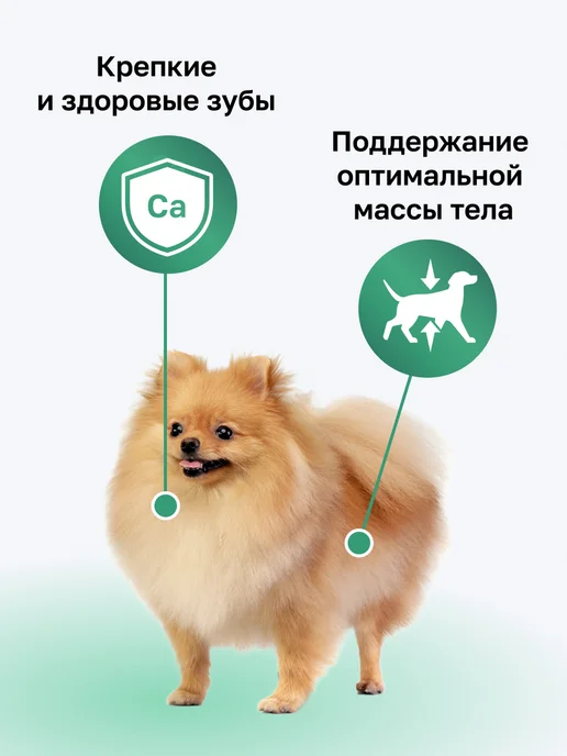 Сухой корм Organix для собак, мелкие, ягненок, 3 кг, фото 2