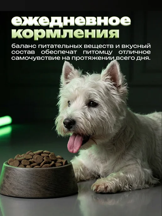 Сухой корм WOOF BOSS для собак, мелкие, говядина, 2 кг, фото 6