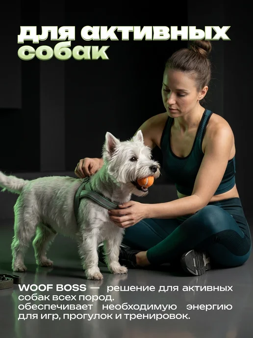 Сухой корм WOOF BOSS для собак, мелкие, говядина, 2 кг, фото 7