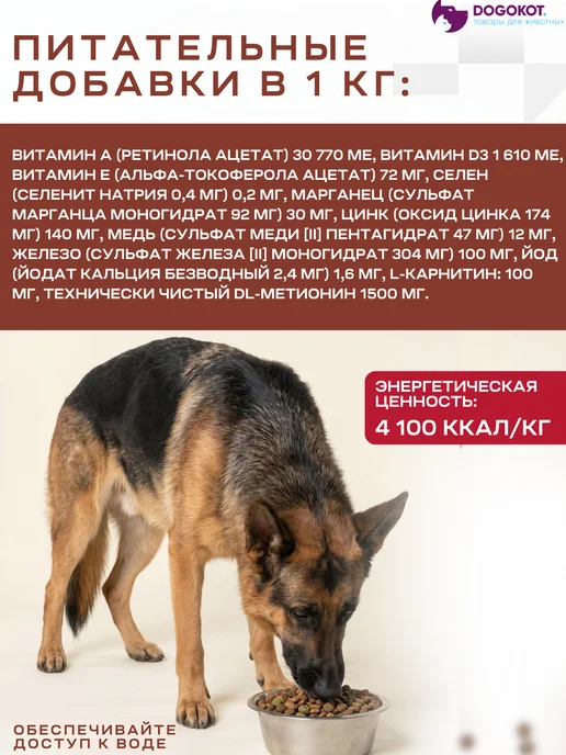 Сухой корм MONGE Monoprotein для собак, ягненок, 12,2 кг, фото 2