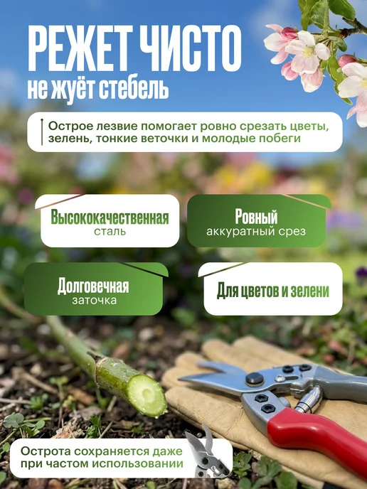 Нефритовый сад Секатор садовый профессиональный, серый, фото 2
