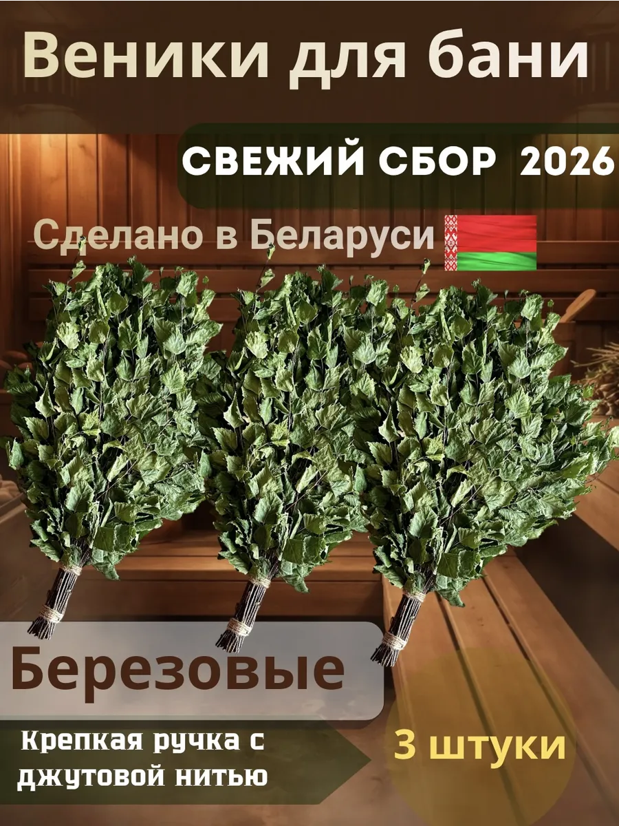 Веники для бани березовые