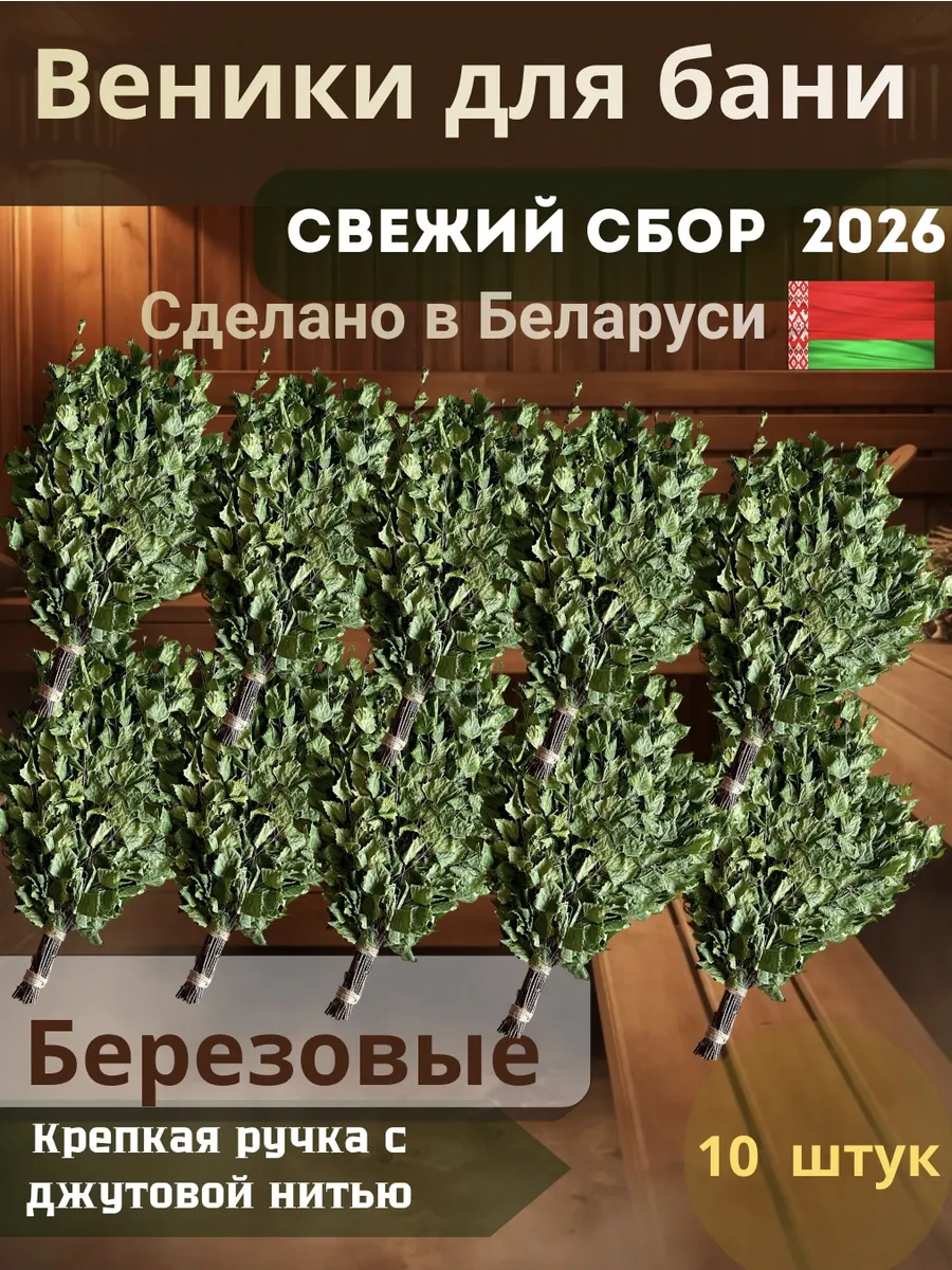 Веники для бани березовые