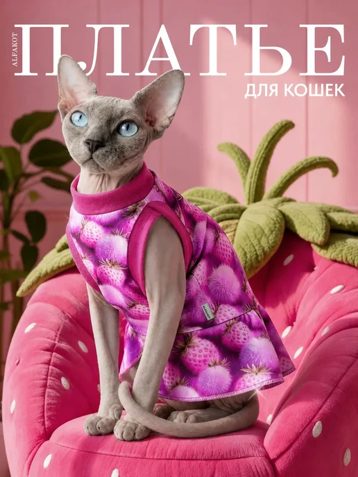 ALFAKOT Одежда для кошек. Платье для сфинксов взрослых из хлопка, фиолетовый