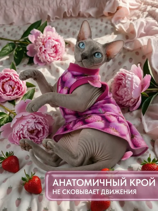 ALFAKOT Одежда для кошек. Платье для сфинксов взрослых из хлопка, фиолетовый, фото 5