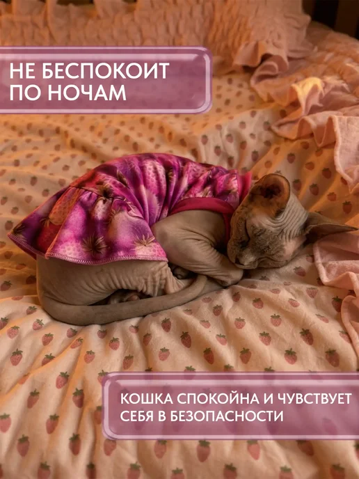 ALFAKOT Одежда для кошек. Платье для сфинксов взрослых из хлопка, фиолетовый, фото 8