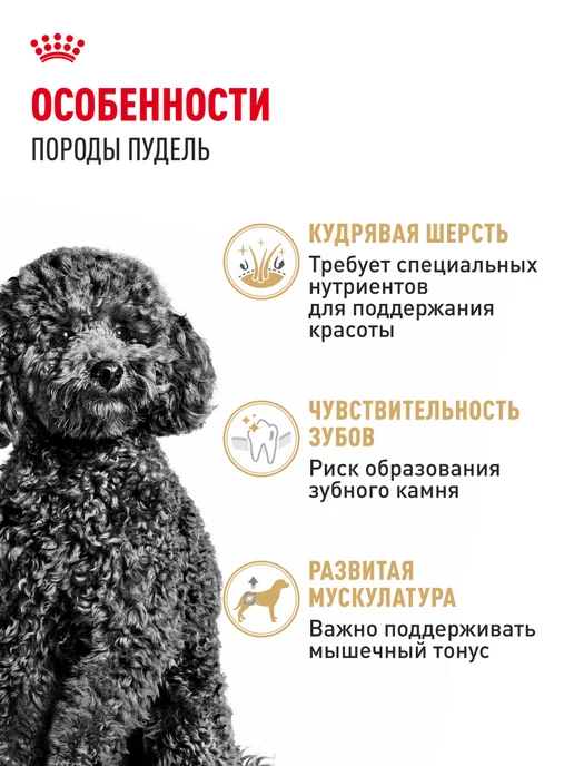 Сухой корм Royal canin Комбо-Набор Влажный для собак, 1,5 кг, фото 2