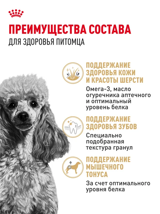Сухой корм Royal canin Комбо-Набор Влажный для собак, 1,5 кг, фото 3