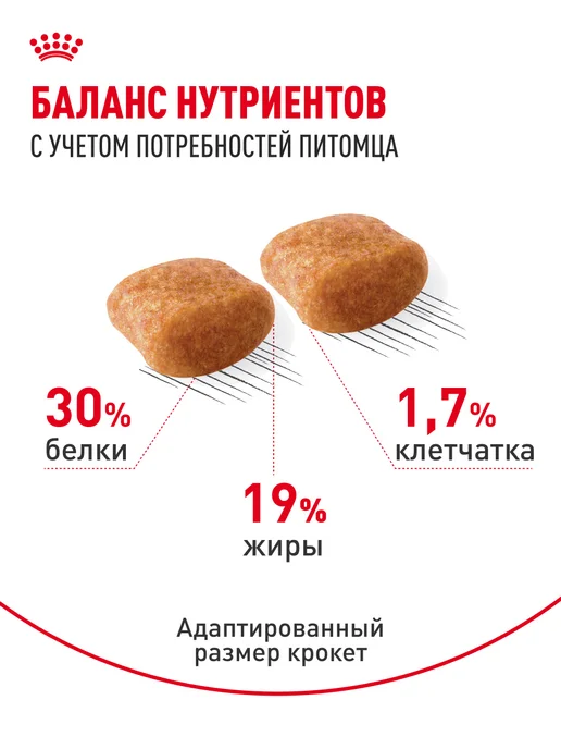 Сухой корм Royal canin Комбо-Набор Влажный для собак, 1,5 кг, фото 4