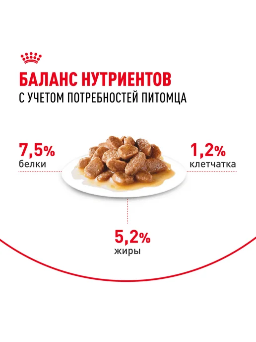 Сухой корм Royal canin Комбо-Набор Влажный для собак, 1,5 кг, фото 5