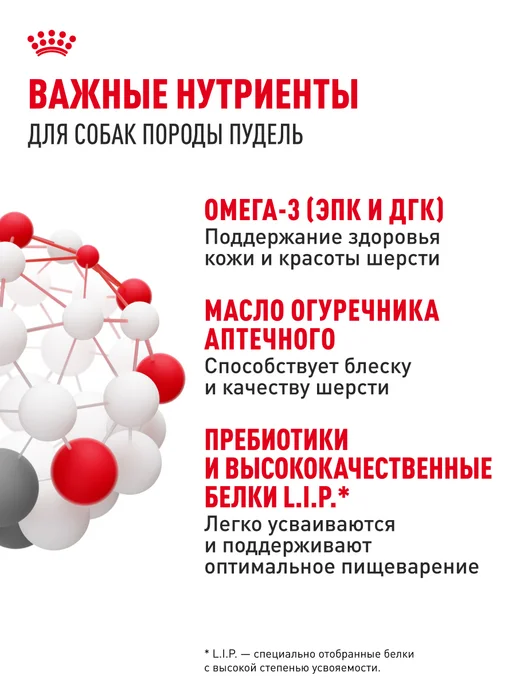 Сухой корм Royal canin Комбо-Набор Влажный для собак, 1,5 кг, фото 6