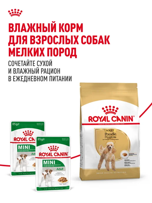 Сухой корм Royal canin Комбо-Набор Влажный для собак, 1,5 кг, фото 8