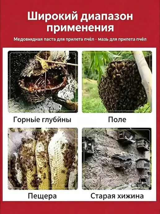 Мази Чудо Китая для поимки роев и приманки пчёл 1 шт, 1 шт, фото 4