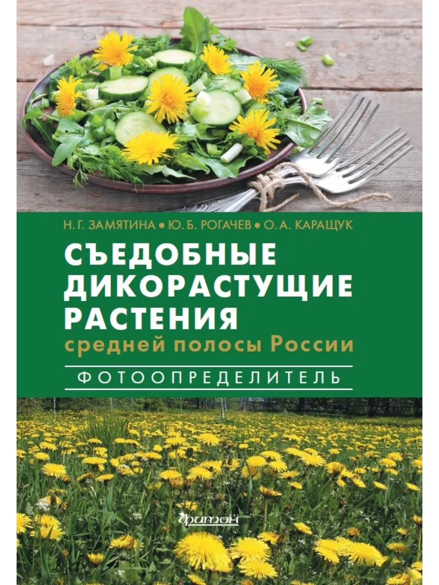 Съедобные дикорастущие растения средней полосы России