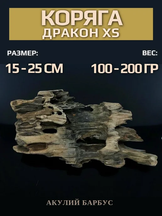 АКУЛИЙ БАРБУС Натуральная коряга Дракон для аквариума террариума XS, коричневый