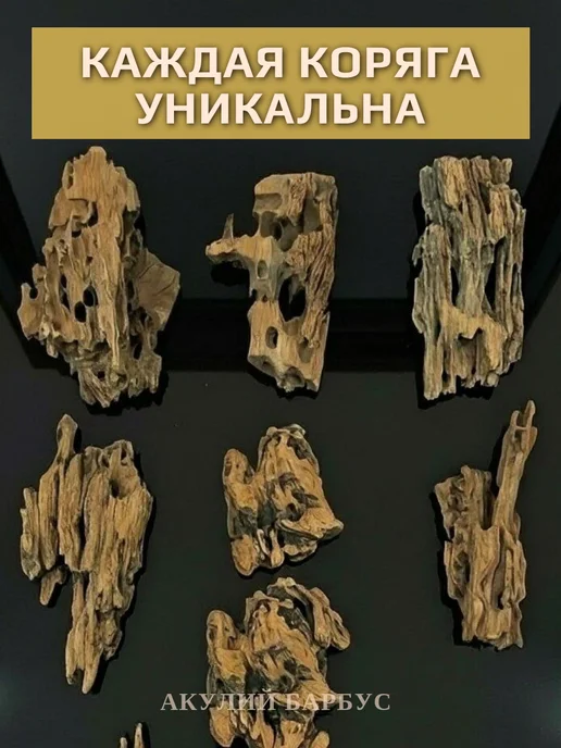 АКУЛИЙ БАРБУС Натуральная коряга Дракон для аквариума террариума XS, коричневый, фото 2