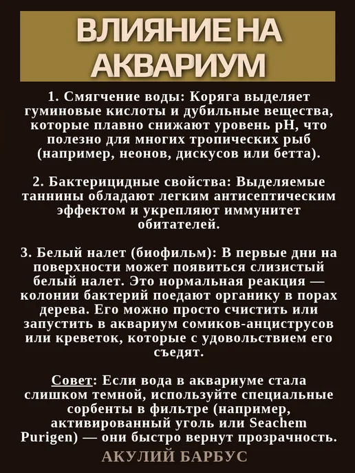 АКУЛИЙ БАРБУС Натуральная коряга Дракон для аквариума террариума XS, коричневый, фото 8