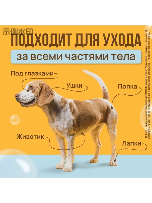 Влажные салфетки-перчатки с шампунем для животных, 6 шт, фото 2