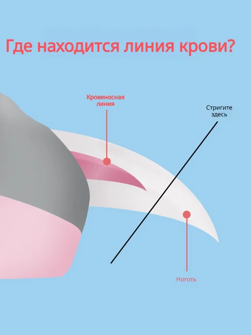 Когтерезка для кошек ножницы для стрижки когтей, синий, фото 6