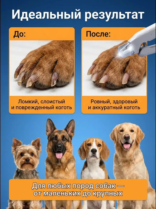 Когтерезка для кошек и собак мелких пород с подсветкой, вариант, фото 6
