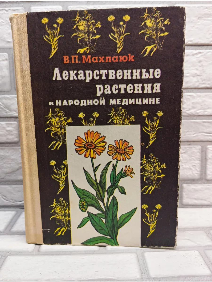 Лекарственные растения в народной медицине
