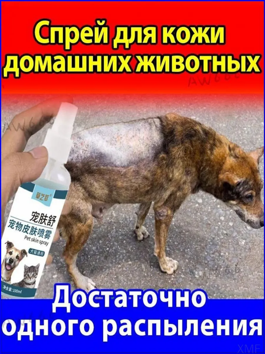 Шампунь для питомцев забота о шерсти и коже животных