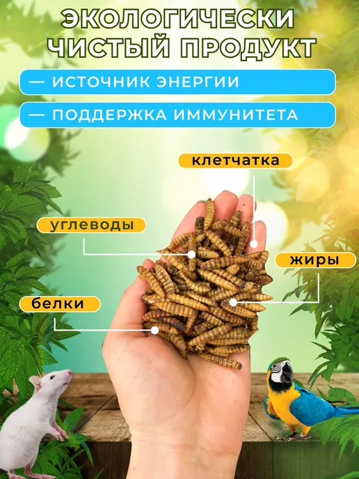 Суперзу Корм для черепах красноухих 1л - натуральное лакомство, 250 мл, фото 2