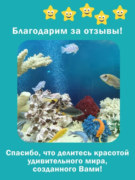 Корм для аквариумных сомов со спирулиной Pleco Spirulina, вариант, фото 7