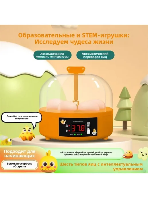 Инкубатор для яиц автоматический с автоповоротом 6 яиц, оранжевый, фото 2