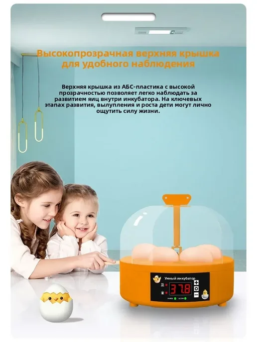 Инкубатор для яиц автоматический с автоповоротом 6 яиц, оранжевый, фото 7