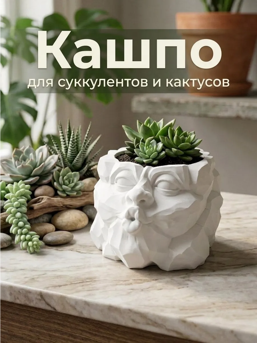 Кашпо для цветов, кактусов и суккулентов