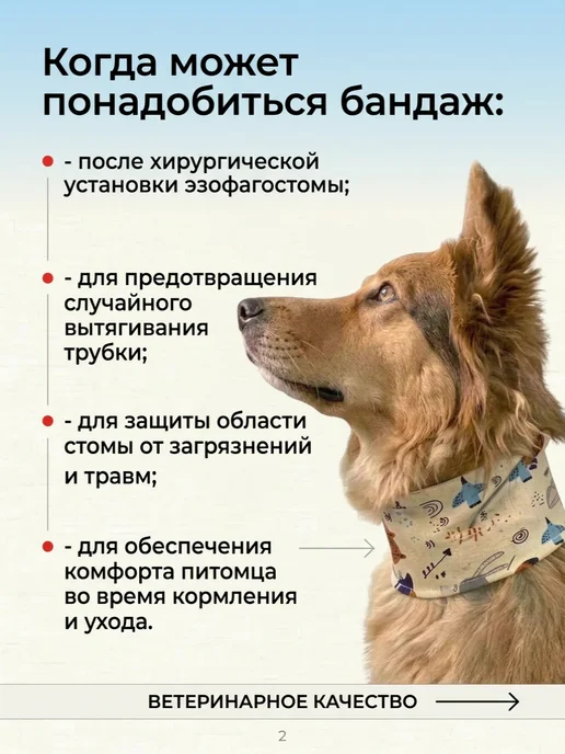 ZOOтекстиль Воротник бандаж для животных с эзофагостомой размер 1, вариант, фото 2