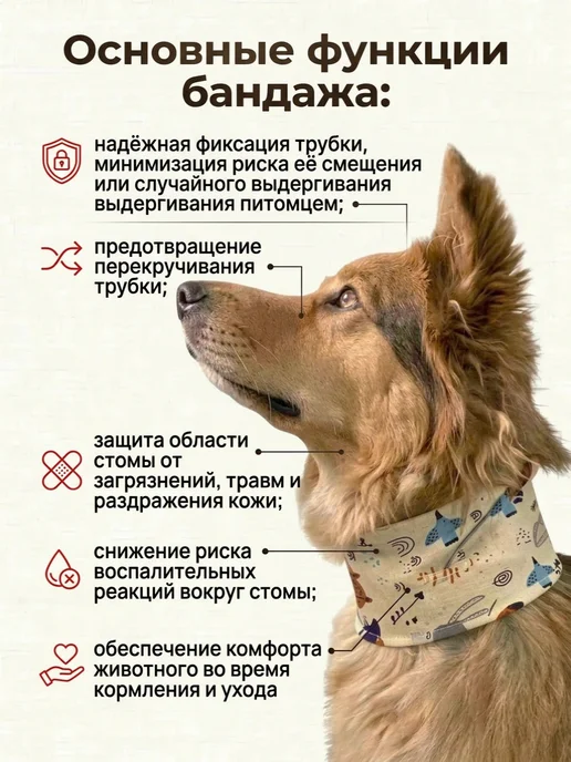ZOOтекстиль Воротник бандаж для животных с эзофагостомой размер 1, вариант, фото 7