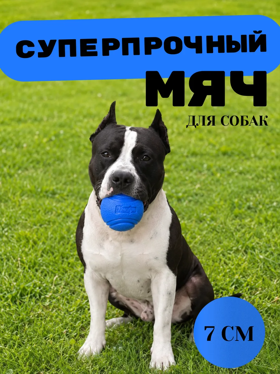 Мяч для собак синий 7 см