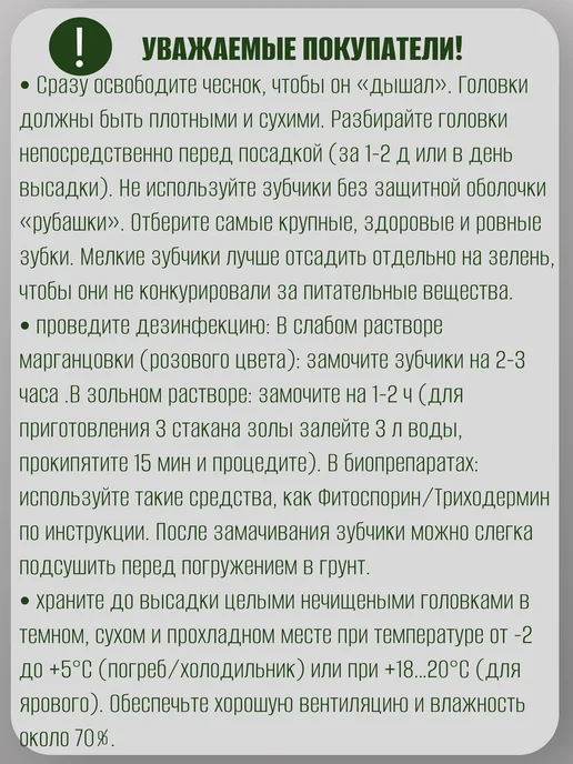 ПЛАНЕТА СОЦВЕТИЙ Чеснок на посадку осенью озимый, Новосибирский 1 кг, 1 кг, фото 2
