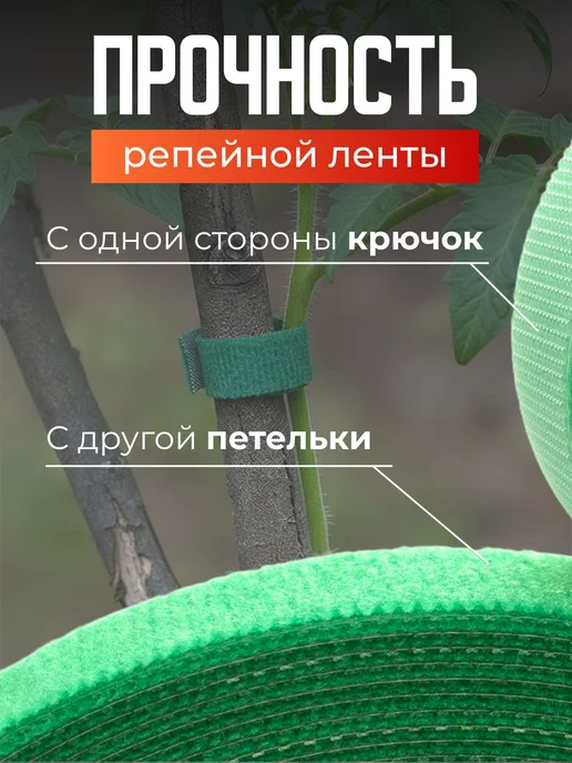 EvaLumi Garden Лента липучка для подвязки растений, зеленый, фото 2
