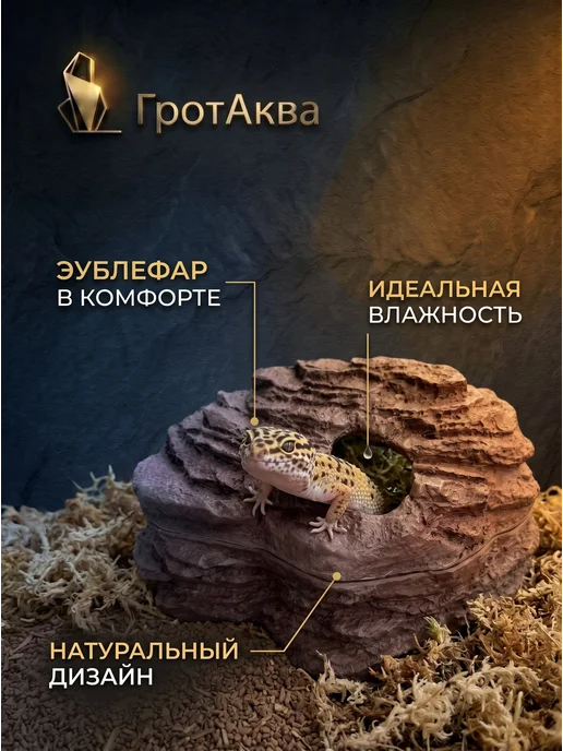 ГротАква Влажная камера XXL (большая), коричневый, фото 3